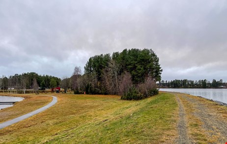 Bild från Vallen vid Badsjön