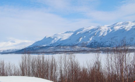 Artfjället på avstånd
