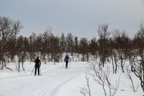 Skidspår