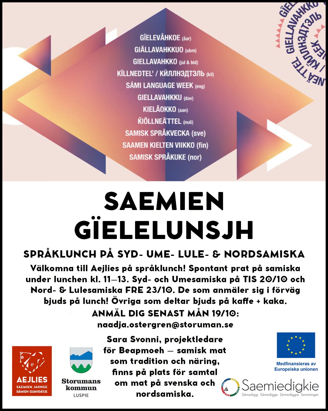 språklunch.jpg