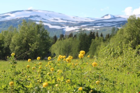 Den blomstertid nu kommer
