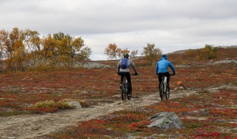 Cyklar på Drottningleden