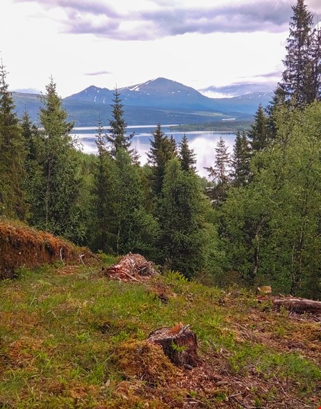 Lillberget