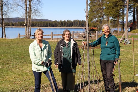 På bilden syns Lena Hedlund, Irene Walfridsson och Lena Hörstedt.