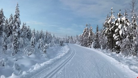 Skidspår