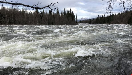 Höga flöden