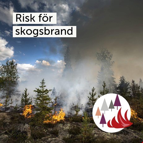 Brandrisk