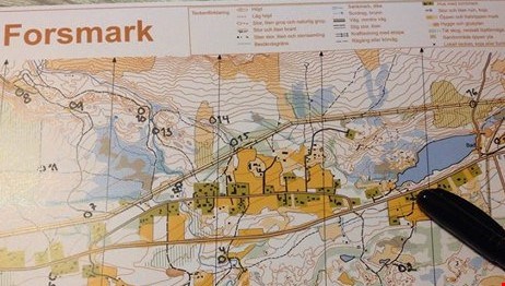 orienteringskarta