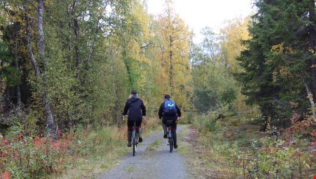 Cykelbild