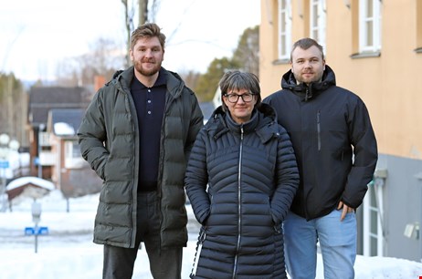 Energiplanerare och energistrateg 